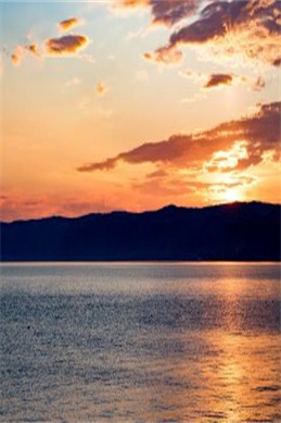 故事跟邻居恋爱-日久生情也不错