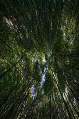 真爱趁现在剧情介绍-常见问题说明