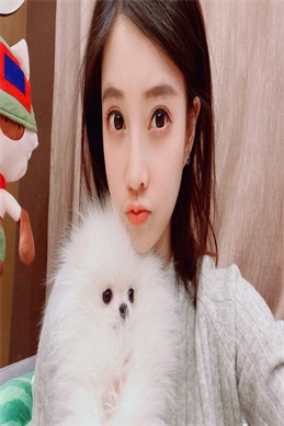 tv365在线电视-寻找稳定免费电视直播源