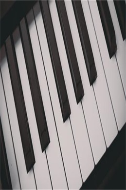 艳母k8-信息核验与说明