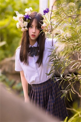独步天下电视剧完整版-哪里能看全剧